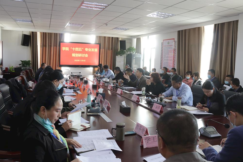 学院召开“十四五”专业发展规划研讨会